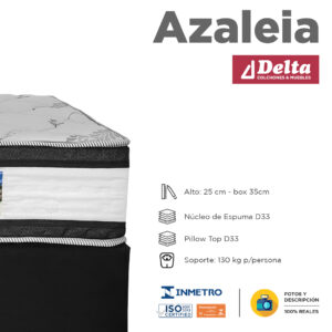 azaleia