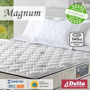 Magnum-Caracteristicas