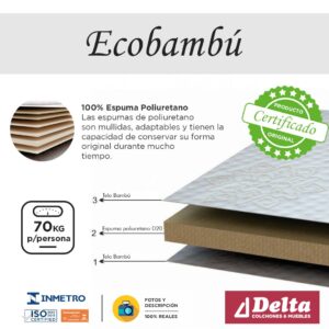 Ecobambu Caracteristicas